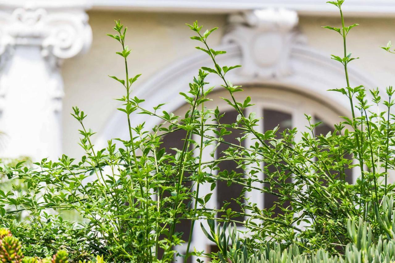 Myplace Zocalo Μεξικό Εξωτερικό φωτογραφία